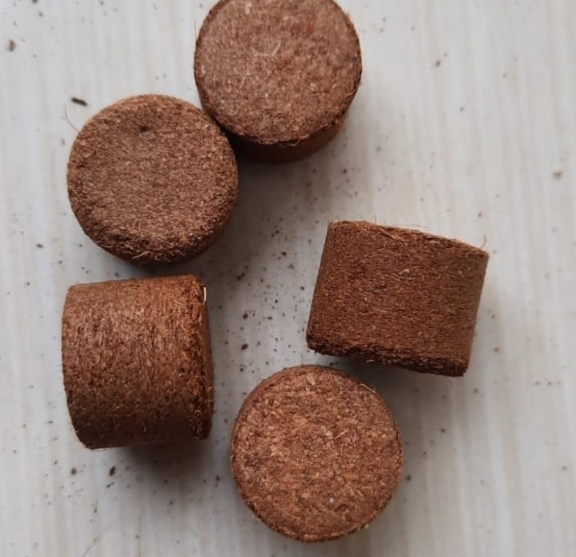 coco peat