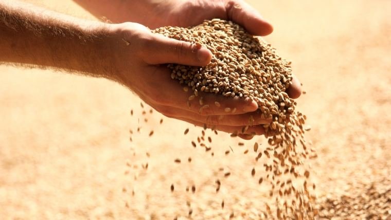 best agriculture products kerala