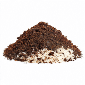 best agriculture products kerala