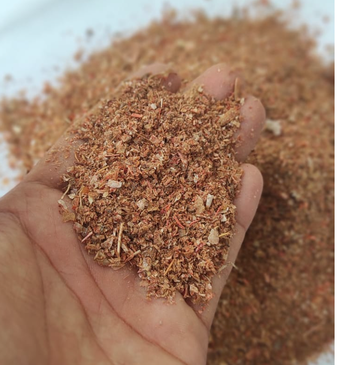 shrimp shell meal india