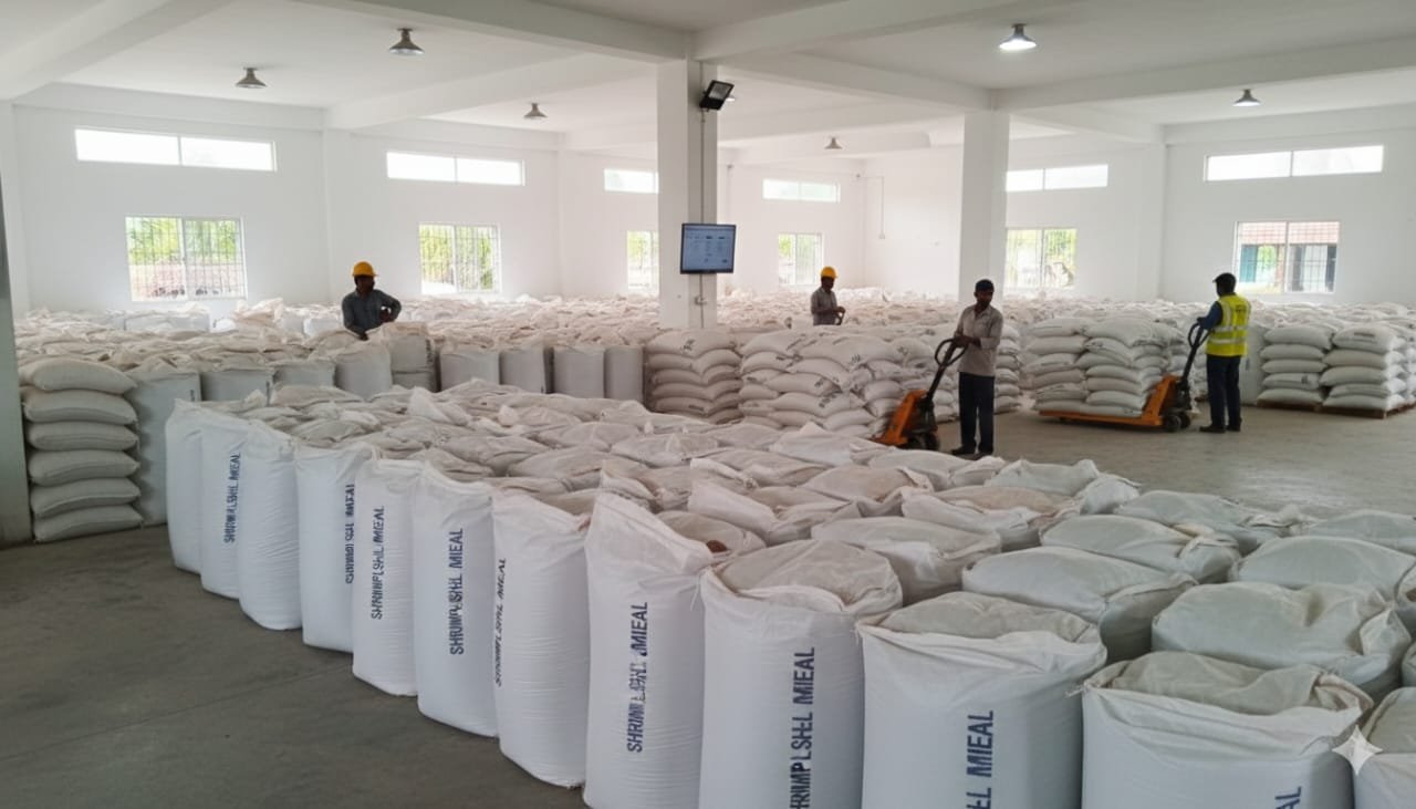 Packed securely for long travel across climates and borders