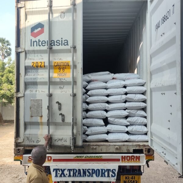 P.T Traders exporting