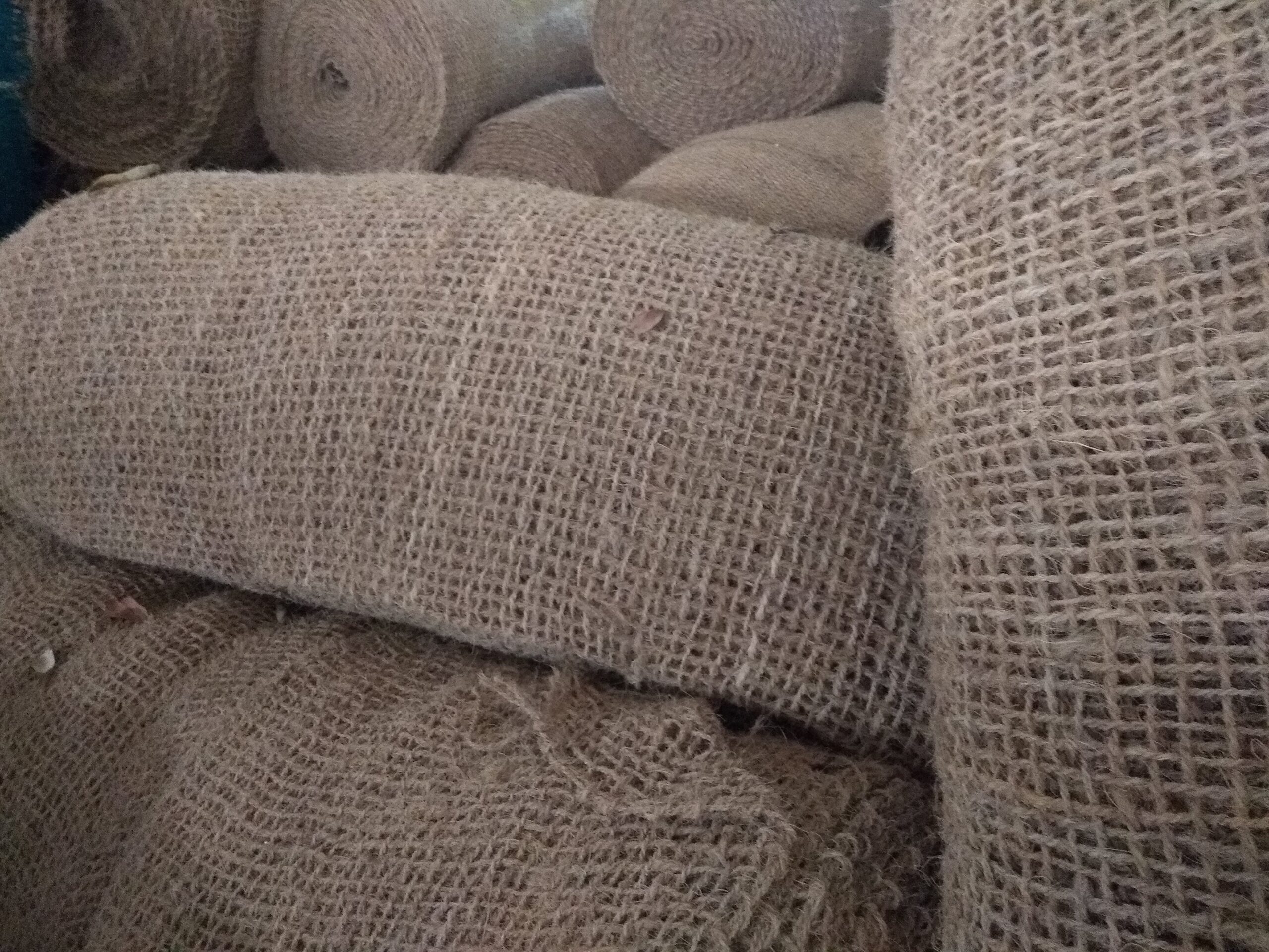 WhatsApp Image 2026-03-29 at 19.27.51